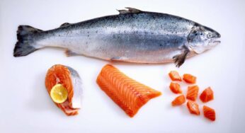 Ikan yang Lebih Banyak Mengandung Omega-3 Dibandingkan Ikan Salmon