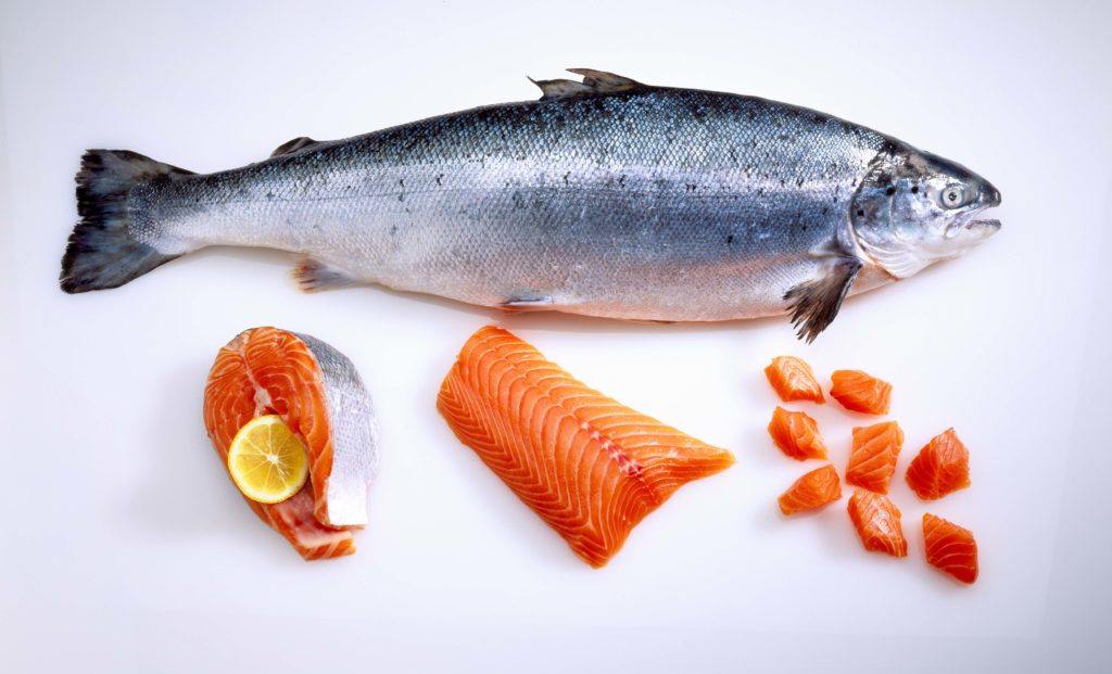 Ikan yang Lebih Banyak Mengandung Omega-3 Dibandingkan Ikan Salmon