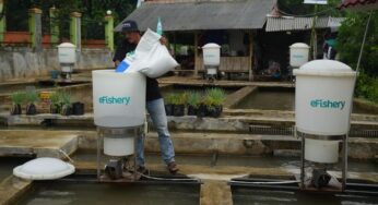 Startup eFishery Perkenalkan CEO dan CFO untuk Era Baru