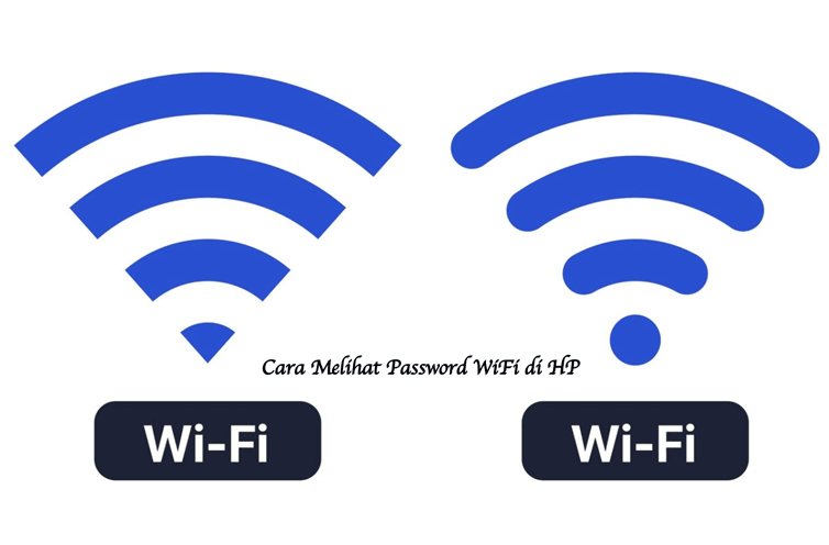 password WiFi