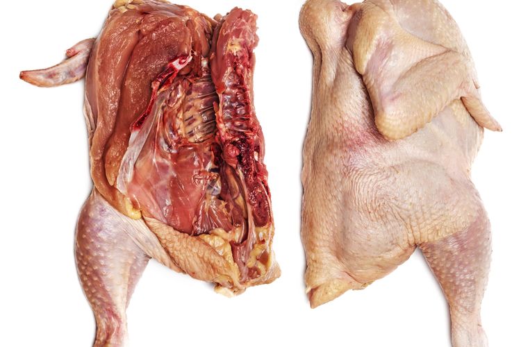 Ayam Tiren