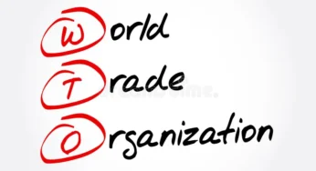 Anomali Perdagangan Bebas WTO, Ekonomi Negara Proteksionis Tumbuh Lebih Tinggi dan Jadi Sorotan Ekonom