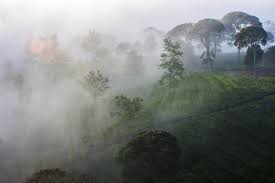 Cuaca Dingin di Musim Kemarau, Bukan Karena Aphelion