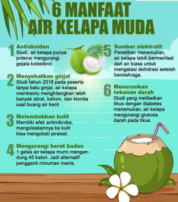 Khasiat Air Kelapa untuk Kesehatan Jantung yang Sering Diabaikan