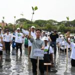 Gibran Rakabuming Tanam Mangrove di Banten: Aksi Nyata Lindungi Pesisir Indonesia