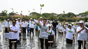 Gibran Rakabuming Tanam Mangrove di Banten: Aksi Nyata Lindungi Pesisir Indonesia