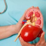 5 Kebiasaan Sehat yang Diam-Diam Bisa Merusak Ginjal