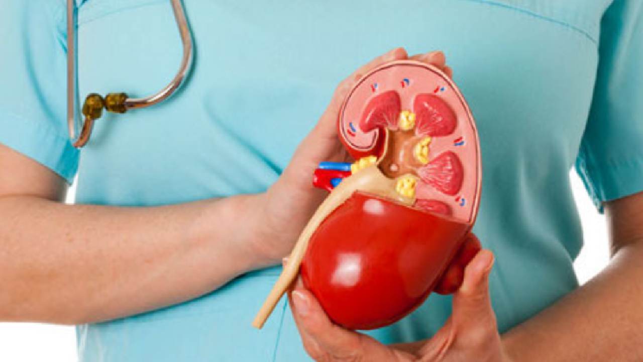 5 Kebiasaan Sehat yang Diam-Diam Bisa Merusak Ginjal