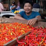 Harga Cabai di Sidoarjo Tembus Rp100.000: Pedagang Tertekan, Pembeli Menahan Diri