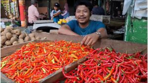 Harga Cabai di Sidoarjo Tembus Rp100.000: Pedagang Tertekan, Pembeli Menahan Diri