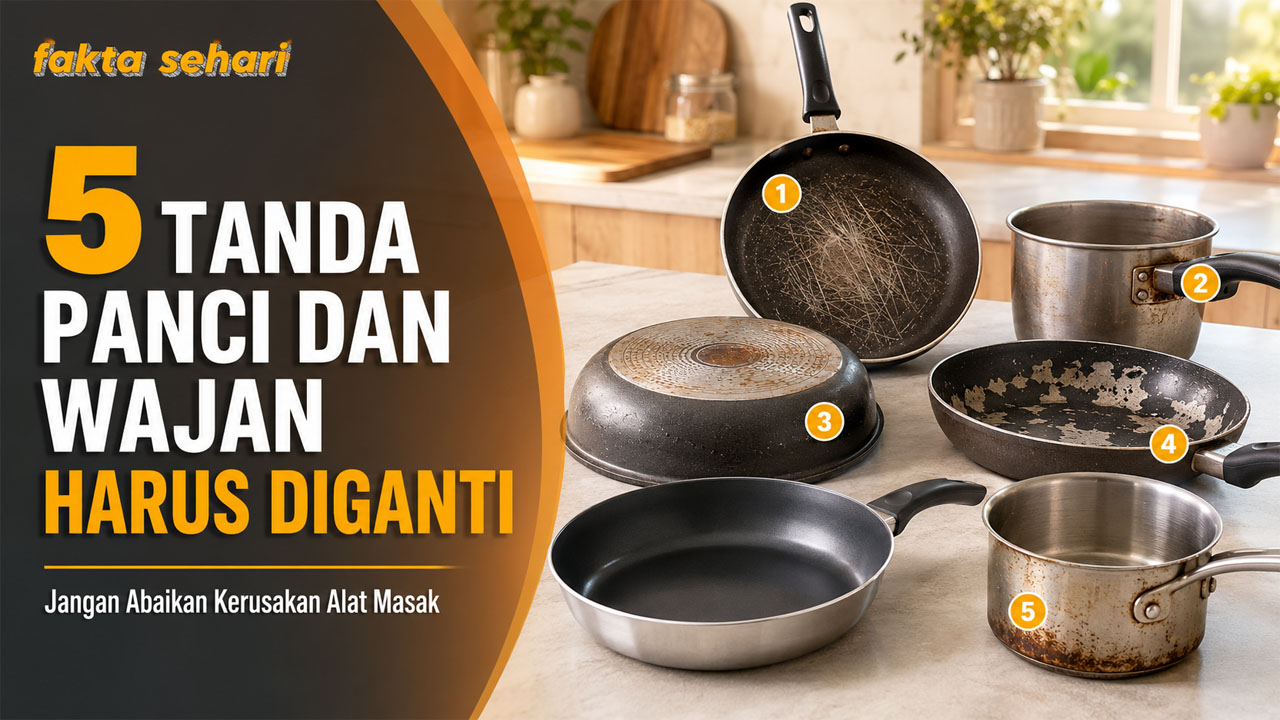 Kenali 5 Tanda Panci dan Wajan di Dapur Sudah Waktunya Diganti