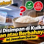 Nasi Disimpan di Kulkas, Aman atau Berbahaya? Ini Jawaban Dokter