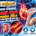 Tak Cuma Ginjal, Jantung Juga Terganggu Jika Kurang Minum Air Putih